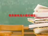 教育板块龙头股有哪些？