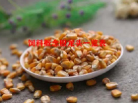 饲料概念股龙头一览表