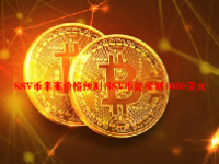 SSV币未来价格预测 SSV币能涨到1000美元