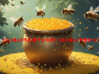 DECHAT币在哪个交易所？DECHAT币是什么？
