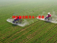 种业概念股龙头一览表
