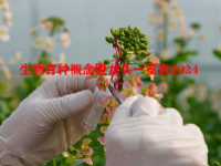生物育种概念股龙头一览表2024