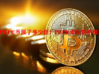 PEPE币涨了多少倍？PEPE币交易所推荐