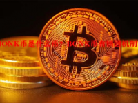 BONK币是什么币？BONK币有销毁机制吗？