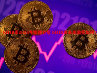 SHIB币2024年销毁计划 SHIB币未来前景如何？