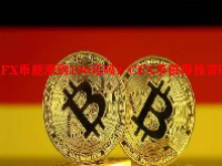 CFX币能涨到100元吗？CFX币值得投资吗？