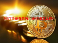 MNT币是真的吗？MNT币怎么样？