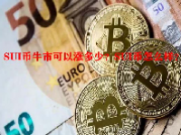 SUI币牛市可以涨多少？SUI币怎么样？
