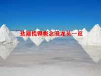盐湖提锂概念股龙头一览