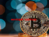BKN币在哪个交易所交易？