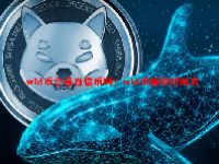 wld币会是百倍币吗？wld币解锁时间表
