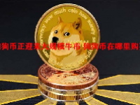狗狗币正迎来大规模牛市 狗狗币在哪里购买？