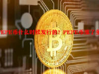 PEPE币什么时候发行的？PEPE币涨了多少倍？