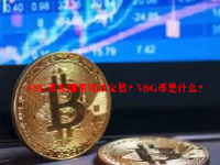 VSG币在哪里可以交易？VSG币是什么？