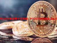 WEMIX币在哪个交易所？WEMIX币的前景怎么样？