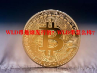 WLD币是谁发行的？WLD币怎么样？