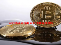 WXT币未来价值 WXT币值得投资吗