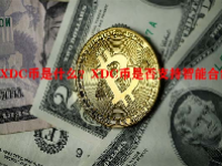 XDC币是什么？XDC币是否支持智能合约？