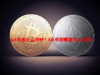 G3币是什么币种？G3币在哪里可以交易？