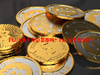 FLUX币今年会暴涨吗？FLUX币怎么样？