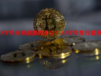 ANT币未来能涨到多少？ANT币发行量多少？