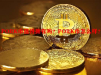 PORK币值得拥有吗？PORK币怎么样？