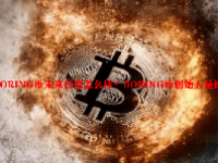 BORING币未来价值怎么样？BORING币创始人是谁？