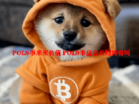 POLS币未来价值 POLS币适合长期持有吗