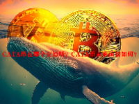 CATA币在哪个交易所？CATA币未来前景如何？