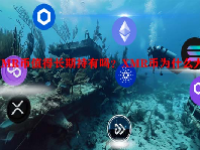 XMR币值得长期持有吗？XMR币为什么大跌？