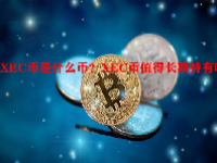 XEC币是什么币？XEC币值得长期持有吗？