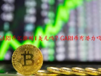 GARI币汇涨到1美元吗？GARI币有潜力吗？