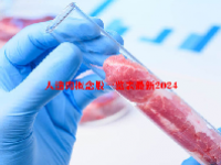 人造肉概念股一览表最新2024