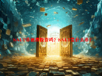 SALT币值得投资吗？SALT是什么币？