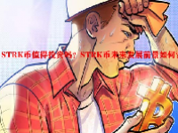 STRK币值得投资吗？STRK币未来发展前景如何？