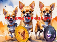 WIF币在哪买？WIF币是公链吗？