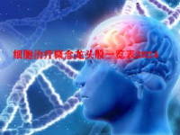 细胞治疗概念龙头股一览表2024