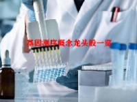 基因测序概念龙头股一览