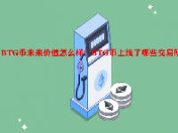 BTG币未来价值怎么样？BTG币上线了哪些交易所？