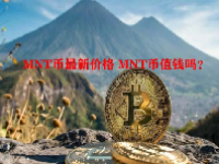 MNT币最新价格 MNT币值钱吗？