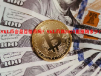 SKL币会是百倍币吗？SKL币到2025能涨到多少？
