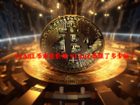 STARL币未来价值 STARL币涨了多少倍了