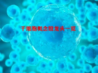 干细胞概念股龙头一览
