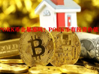 PORK币会暴涨吗？PORK币有投资价值吗？