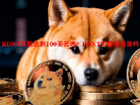 RDNT币能达到100美元吗？RDNT币值得投资吗？