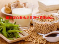 植物蛋白概念龙头股一览表2024