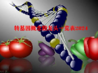 转基因概念股龙头一览表2024