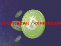 NOT币发行总量是多少？NOT币未来发展前景如何？