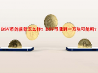 BSV币的前景怎么样？BSV币涨到一万块可能吗？