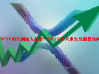 DEXE币的创始人是谁？DEXE币未来发展前景如何？